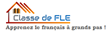 logo fle